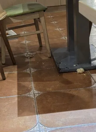 ▲▼曾雅蘭。（圖／翻攝自FACEBOOK／曾雅蘭）