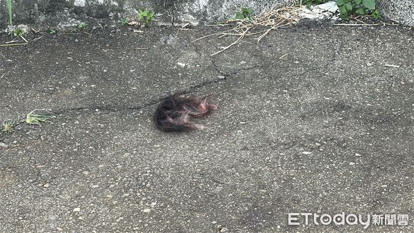▲台中少年殺女友。（圖／記者許權毅攝）