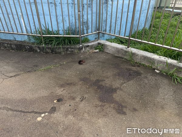 ▲台中少年殺女友。（圖／記者許權毅攝）