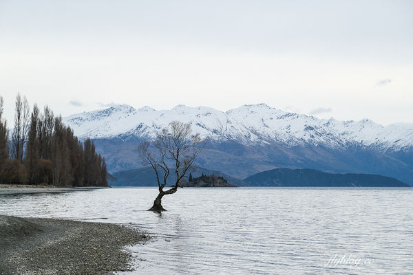 ▲▼Lakeside Apartments Wanaka。（圖／部落客飛天璇的口袋授權提供）