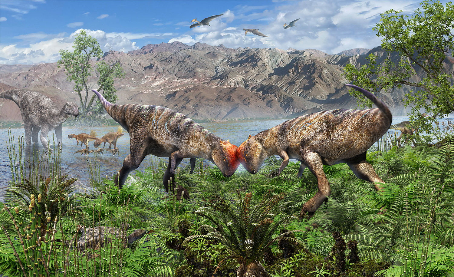 ▲▼在蒙古戈壁沙漠中發現名為「「札瓦賽帕勒仁波切」的厚頭龍化石。（圖／路透）