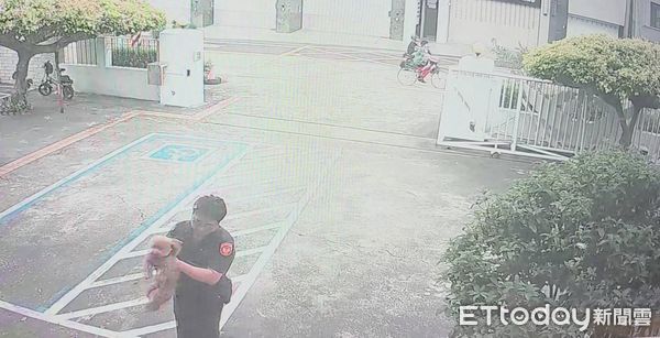 ▲12歲貴賓狗Niko走失落寞淋雨流浪　路過派出所「自己走進」求救。（圖／記者許權毅翻攝）