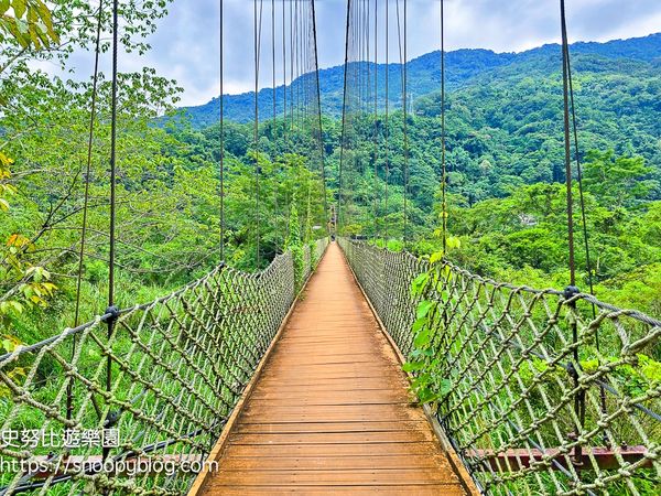 新竹尖石最美散步路線！漫步220公尺寧靜吊橋、橫跨翠綠山谷