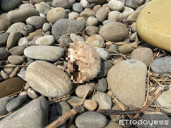 ▲▼             。（圖／記者許權毅攝）