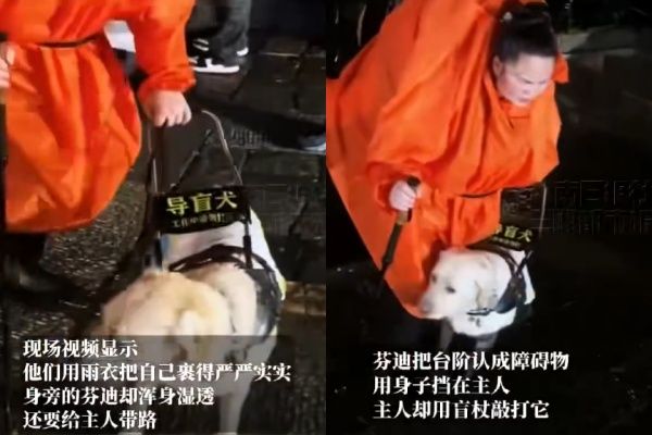 ▲▼「盲人夫妻爬泰山」挨批虐狗博流量。（圖／翻攝自微博）