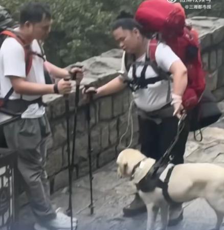 ▲盲人夫妻爬泰山。（圖／翻攝自微博，上同）