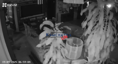 史詩強震夜難熬！俄「最大規模7.8」連續狂搖　震撼驚悚影片曝光