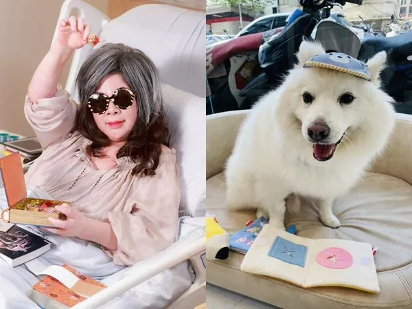 ▲▼陳文茜愛犬罹癌，只剩下6個月壽命。（圖／翻攝自臉書）