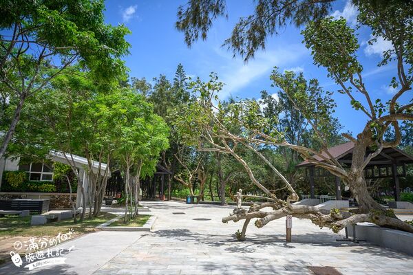 ▲▼澎湖「及林春咖啡館」同時擁有森林美景與黃金海灘的景觀咖啡廳。（圖／部落客滿分提供）