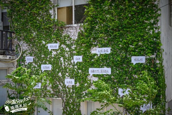 ▲▼澎湖「及林春咖啡館」同時擁有森林美景與黃金海灘的景觀咖啡廳。（圖／部落客滿分提供）