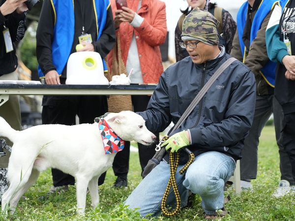 ▲新竹市毛小孩運動會9/21北大公園登場(活動資料照)。（圖／新竹市政府提供）
