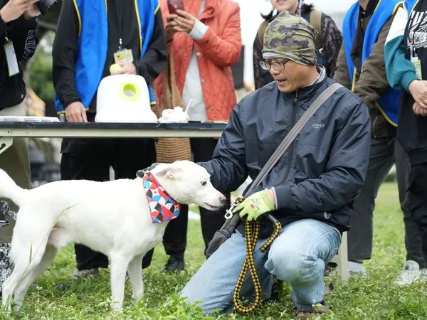 ▲新竹市毛小孩運動會9/21北大公園登場(活動資料照)。（圖／新竹市政府提供）