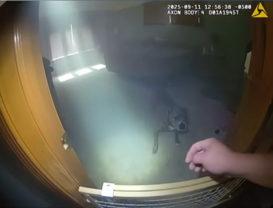 民宅失火有狗狗受困 汪星人反應讓警察大讚「太乖了」