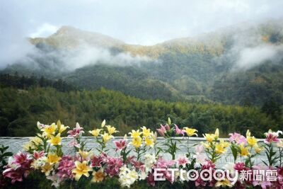 鄒族文化探索、百合花季搶先報 阿里山賓館推限時體驗