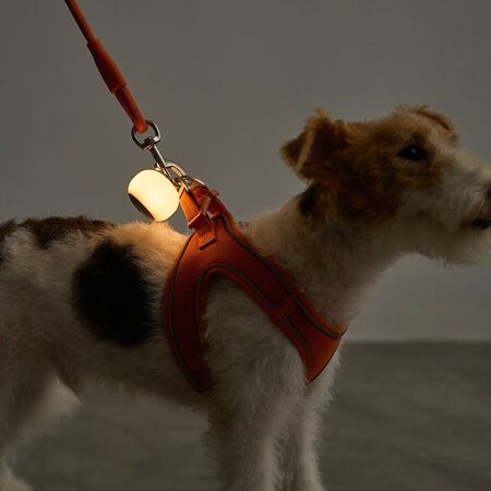 ▲無印秋冬新品充電式矽膠燈。（圖／品牌提供）