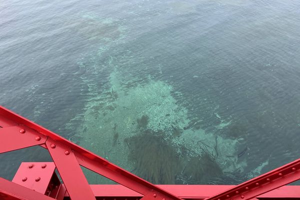 ▲▼北海道最安靜的冬日一隅，日本支笏湖一日遊行程安排。（圖／部落客CJ夫人提供）