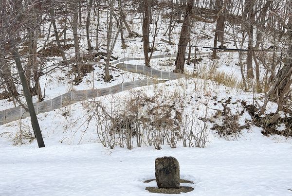 ▲▼北海道最安靜的冬日一隅，日本支笏湖一日遊行程安排。（圖／部落客CJ夫人提供）