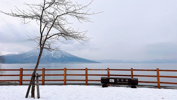 ▲▼北海道最安靜的冬日一隅，日本支笏湖一日遊行程安排。（圖／部落客CJ夫人提供）