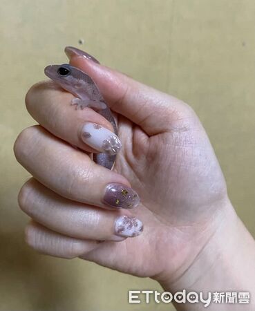 ▲。（圖／Threads@heki_0922提供，請勿隨意翻拍，以免侵權。）