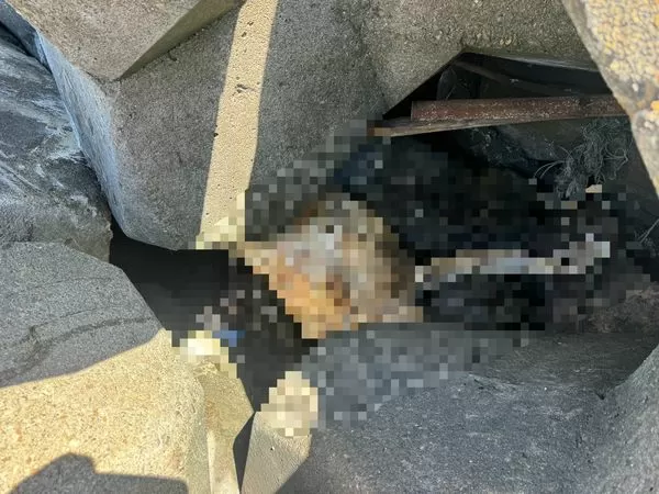 ▲線西彰濱海堤消波塊發現男子遺體。（圖／賴清美提供 民眾提供）