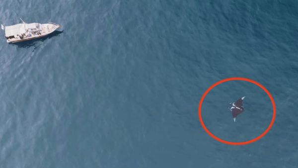 ▲▼             。（圖／記者潘鳳威攝）