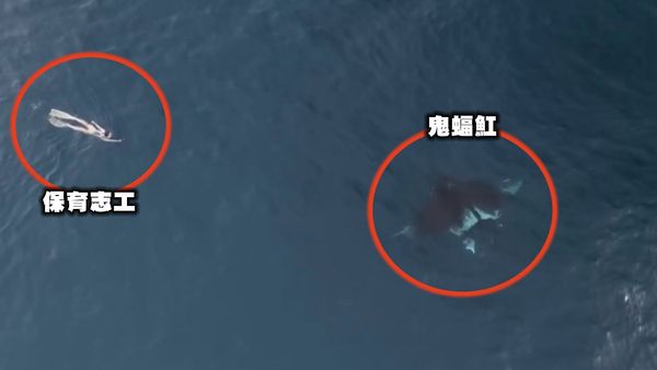 ▲▼             。（圖／記者潘鳳威攝）