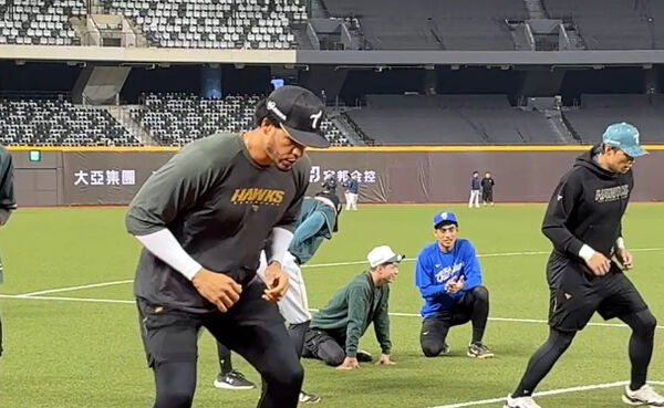 ▲▼         魔鷹    。（圖／記者王真魚攝）