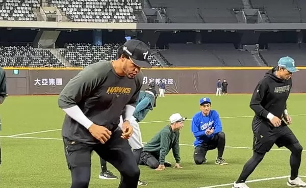 ▲▼         魔鷹    。（圖／記者王真魚攝）