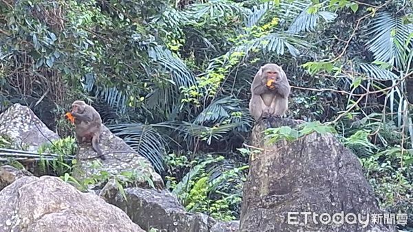 ▲▼             。（圖／記者李陳信得攝）