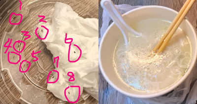 一口一隻！高雄鱸魚麵線驚見「螞蟻湯」　她噁吐：又肥又大