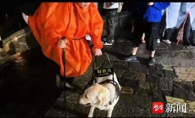 帶導盲犬淋雨爬泰山　陸視障人士被罵爆