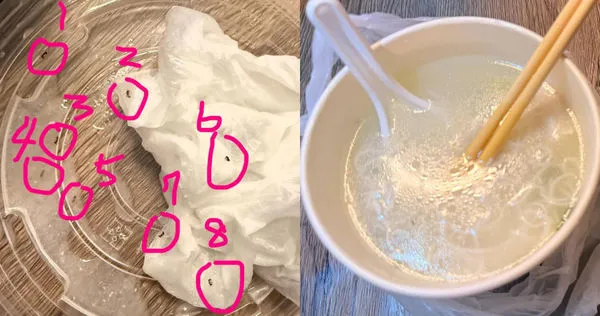 一堆螞蟻漂浮在消費者購買的湯品中。（圖／翻攝自Threads @bug111833）