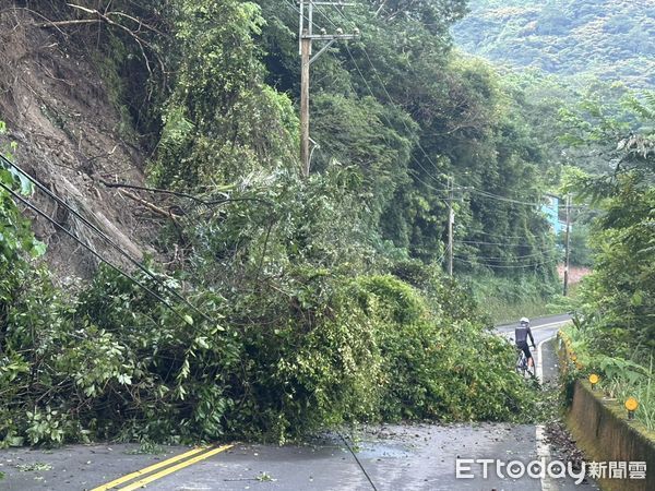 ▲▼苗124線33.5K處今(21日)有路樹倒塌。（圖／記者楊永盛翻攝)