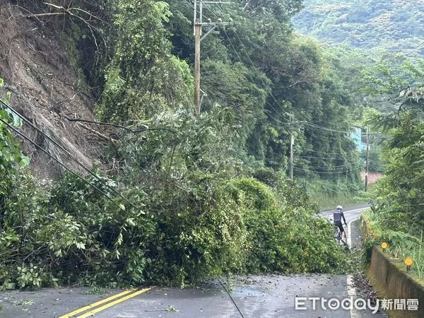 ▲▼苗124線33.5K處今(21日)有路樹倒塌。（圖／記者楊永盛翻攝)
