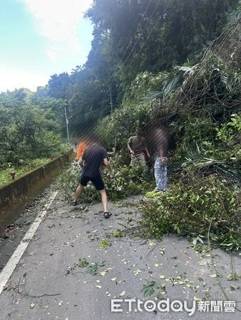 ▲▼苗124線33.5K處今(21日)有路樹倒塌。（圖／記者楊永盛翻攝)