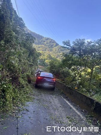 ▲▼苗124線33.5K處今(21日)有路樹倒塌。（圖／記者楊永盛翻攝)