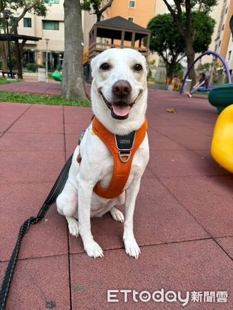 ▲。（圖／Threads@soy.__.milkk提供，請勿隨意翻拍，以免侵權。）