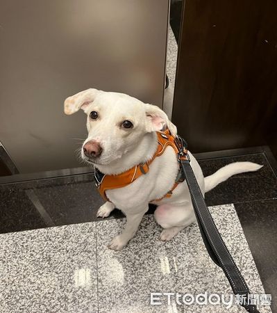 ▲。（圖／Threads@soy.__.milkk提供，請勿隨意翻拍，以免侵權。）