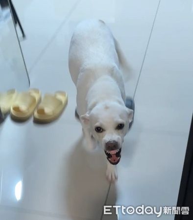 ▲。（圖／Threads@soy.__.milkk提供，請勿隨意翻拍，以免侵權。）