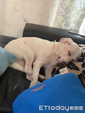 ▲。（圖／Threads@soy.__.milkk提供，請勿隨意翻拍，以免侵權。）