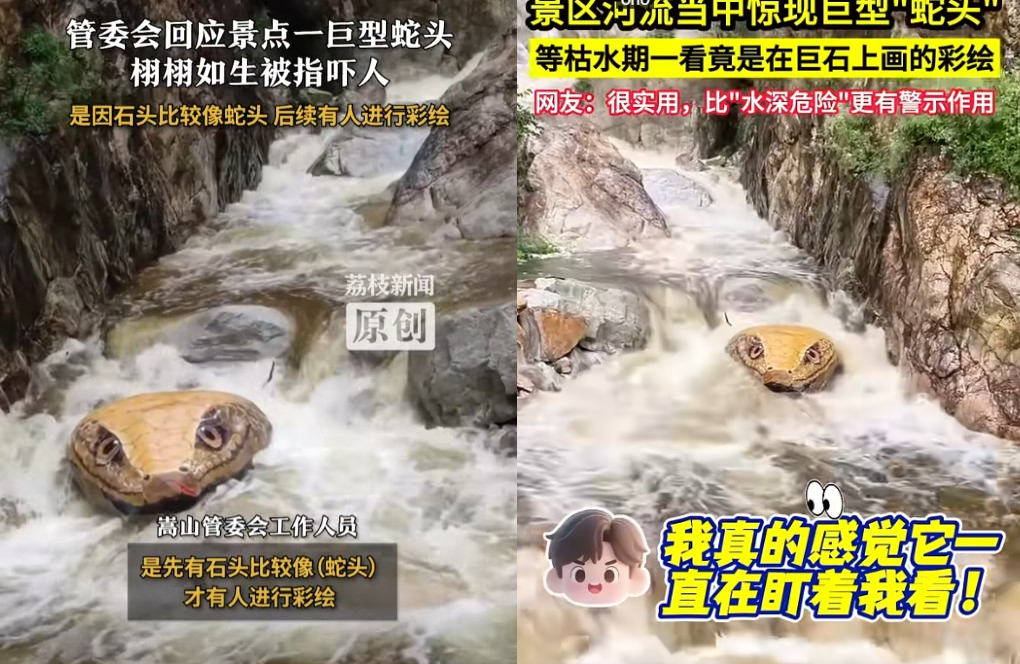 ▲河南風景區驚見黃金蟒蛇頭。（合成圖／翻攝自微博、抖音）