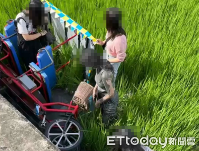 台東吹強風!4女遊客伯朗大道騎電輔車翻覆 跌入稻田3傷畫面曝