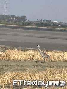 ▲。（圖／廖姓瓜農提供）