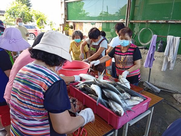 ▲福寶村長請老師教村民製作虱目魚一夜干。（圖／黃耀輝提供）