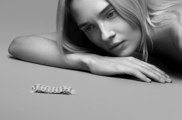 ▲BOUCHERON高級珠寶。（圖／品牌提供）