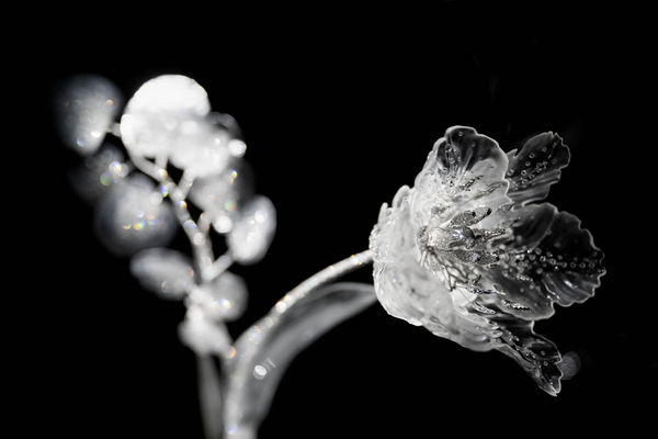 ▲BOUCHERON高級珠寶。（圖／品牌提供）