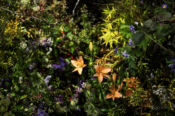 ▲BOUCHERON高級珠寶。（圖／品牌提供）