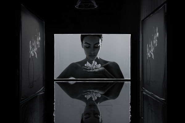 ▲BOUCHERON高級珠寶。（圖／品牌提供）