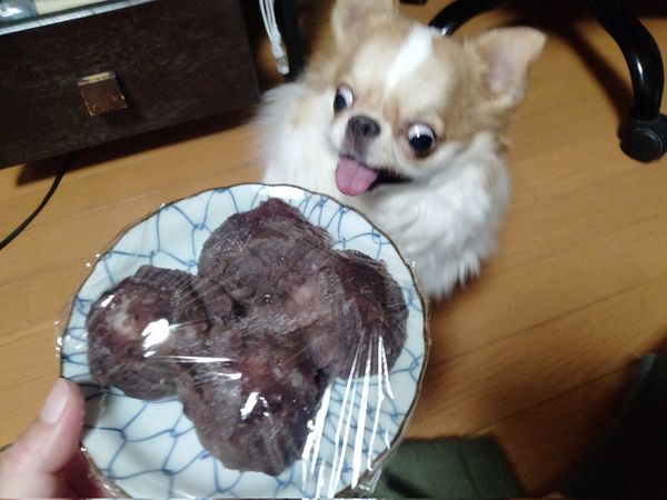 ▲（圖／翻攝自X／@echigoyamoke）