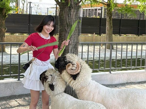 ▲▼8 個脆上爆紅的宜蘭景點。（圖／ReadyGo提供）